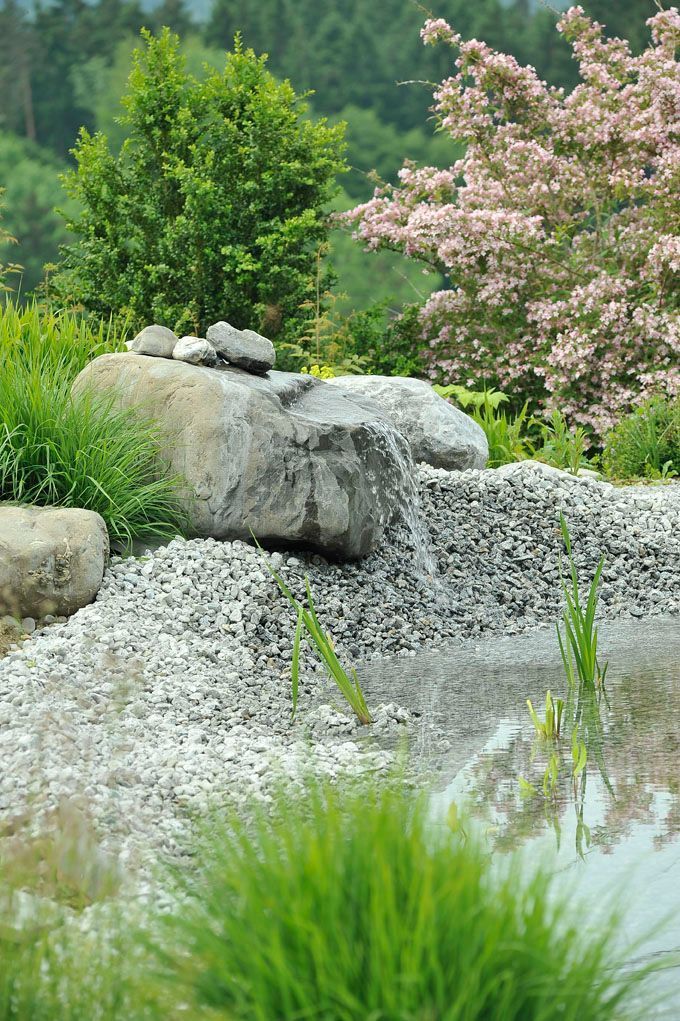 Ein Teich, umgeben von Felsen und Gras mit einem Baum im Hintergrund.