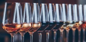 Eine Reihe von Weingläsern, gefüllt mit verschiedenen Weinsorten.