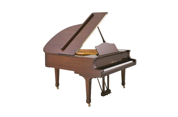 Haessler – H 175 von Blüthner Center