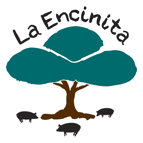 Logotipo