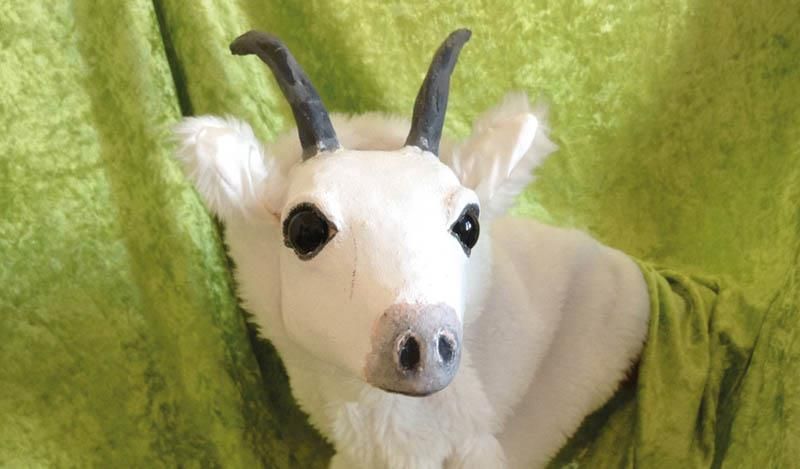 Eine ausgestopfte Ziege mit Hörnern liegt auf einer grünen Decke.