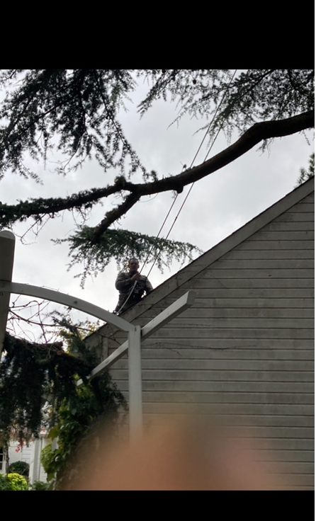 Travaux d'élagage par la société l'Arbre Heureux