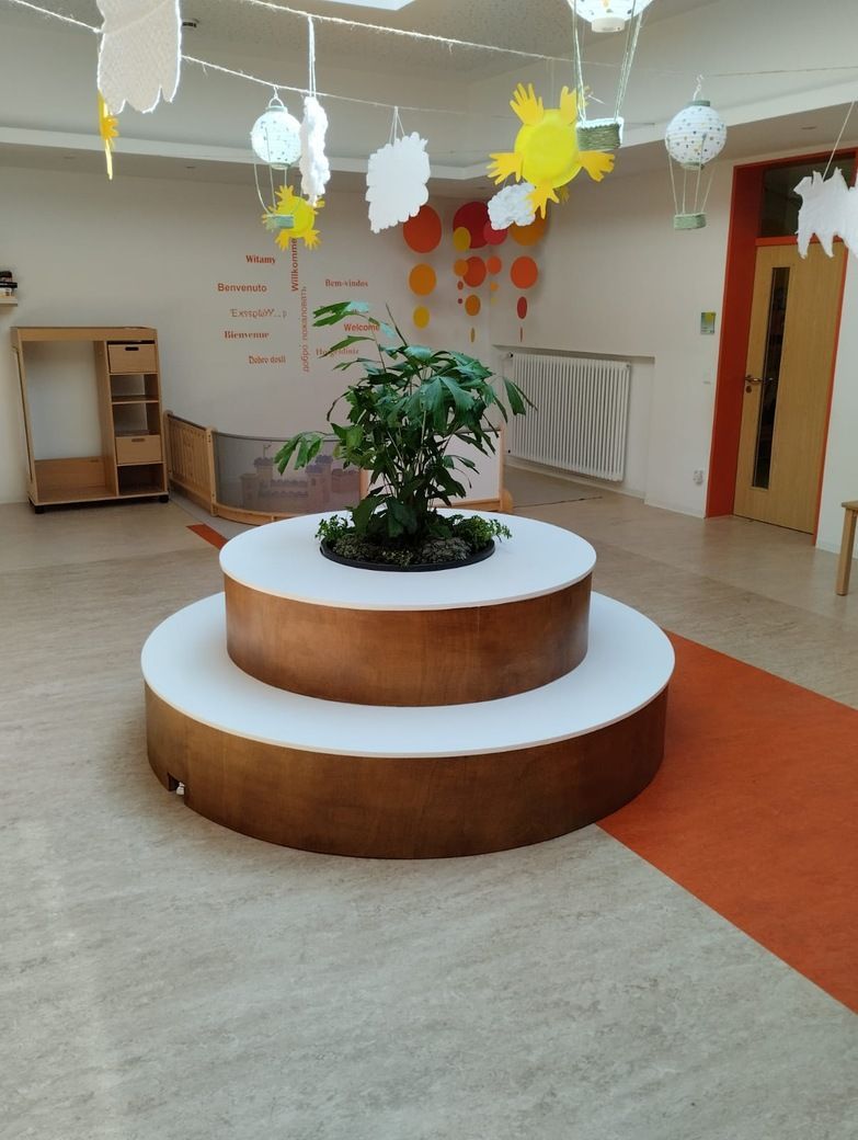 Ein Raum mit einer Pflanze in der Mitte