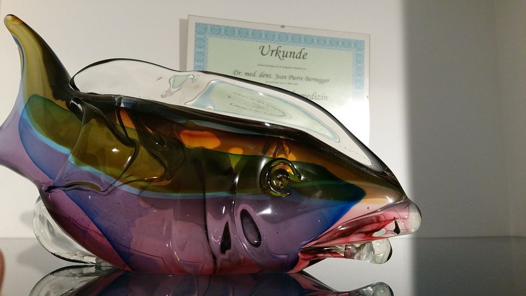 Praxis Bernegger - St.Gallen / Lustmühle