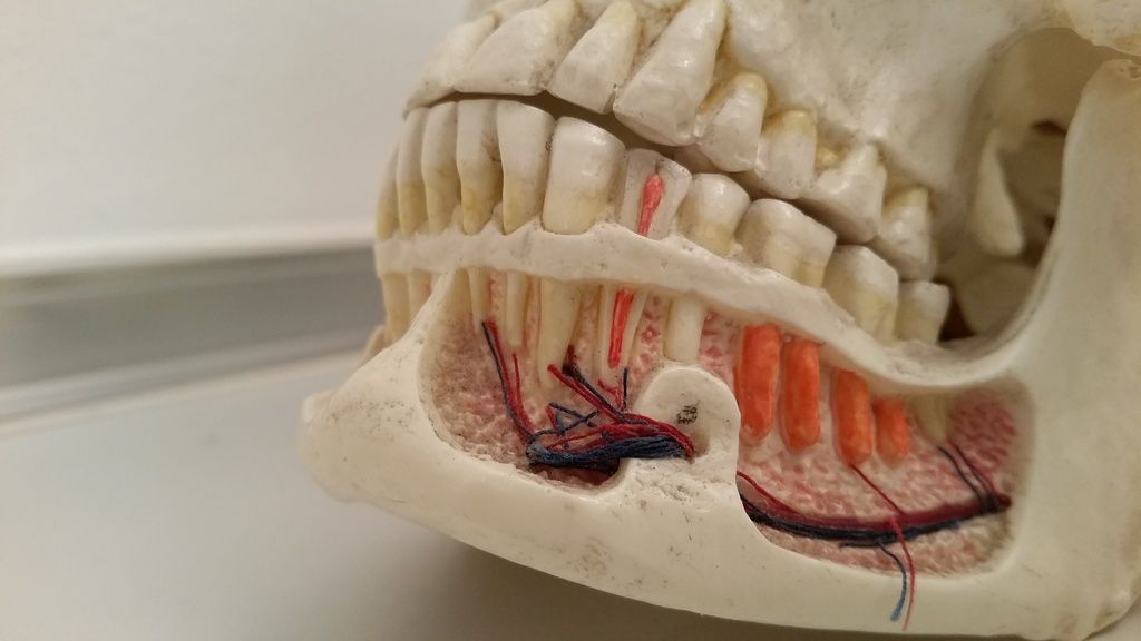 Praxis Bernegger - St.Gallen / Lustmühle