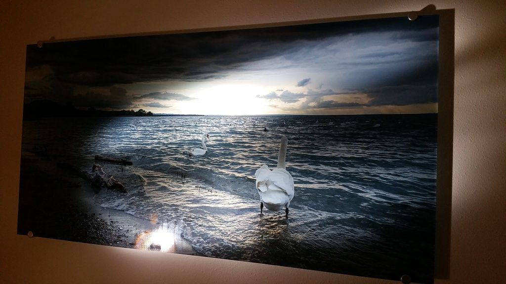 Praxis Bernegger - St.Gallen / Lustmühle