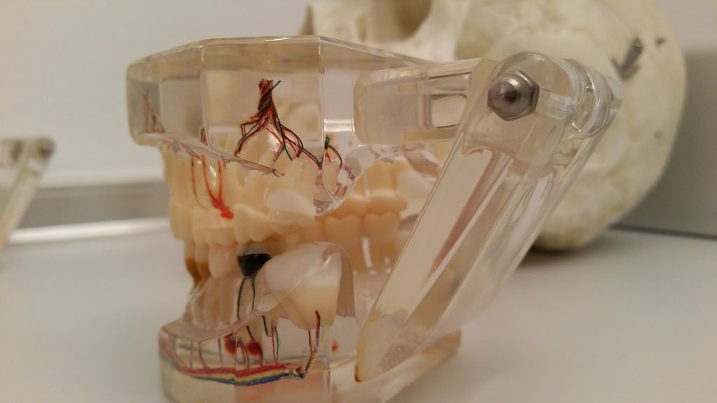 Praxis Bernegger - St.Gallen / Lustmühle