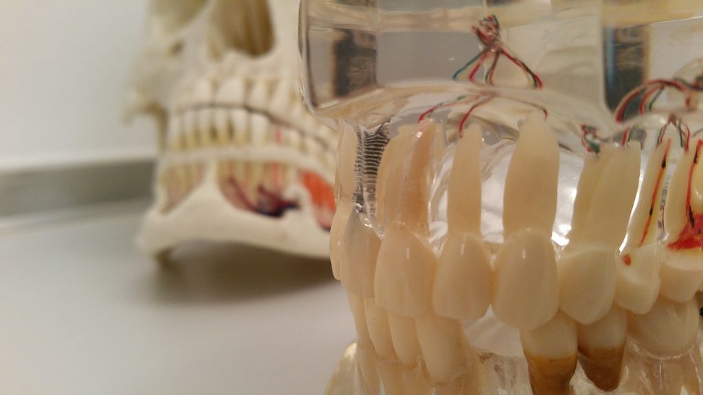 Praxis Bernegger - St.Gallen / Lustmühle