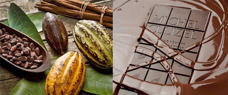 Granos de cacao, mazorcas de cacao, ramas de canela y barra de chocolate en un remolino de chocolate.