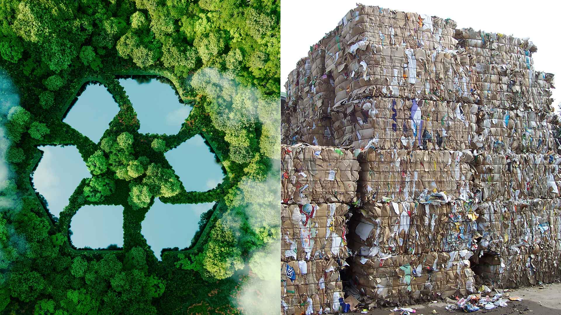 A gauche de l'image, un lac en forme de pictogramme de recyclage dans la forêt, à droite, des balles de cartons