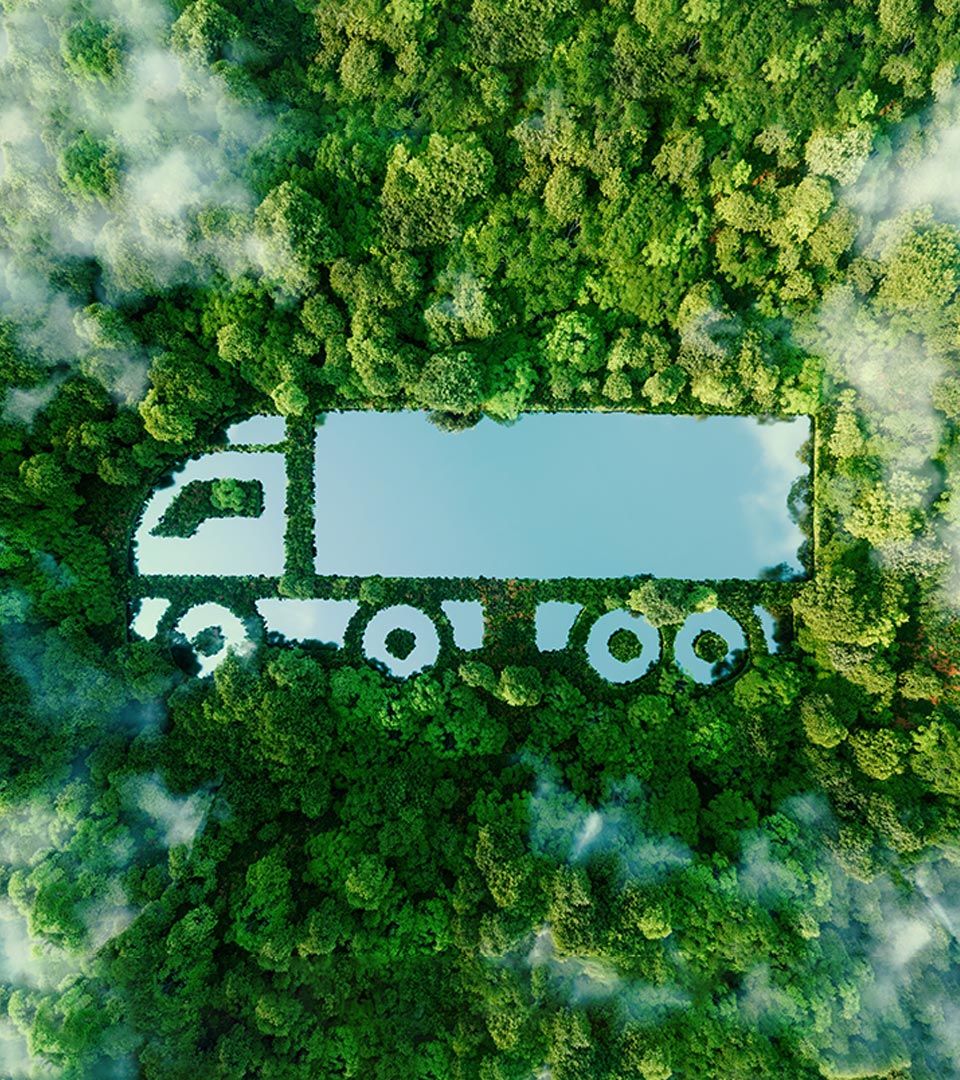 Lac en forme de camion dans une forêt verdoyante