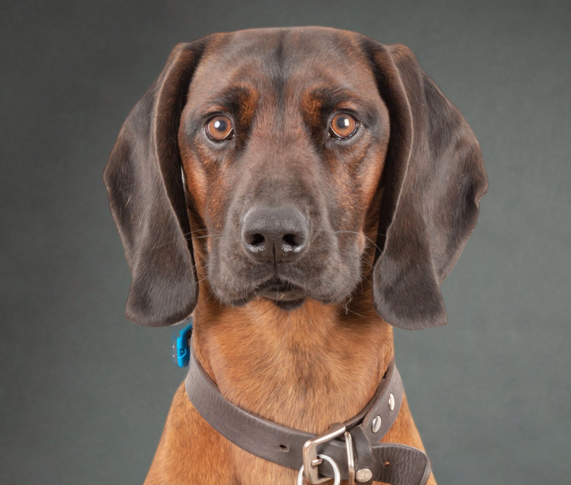 Mitarbeitergalerie Theodor Baum GmbH Essen