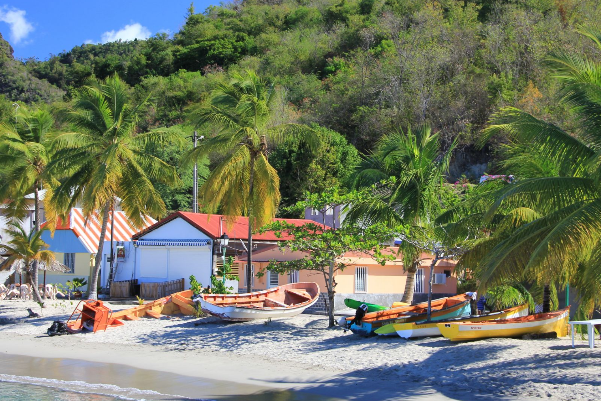 Un paysage de palmiers et une plage avec des canoés.