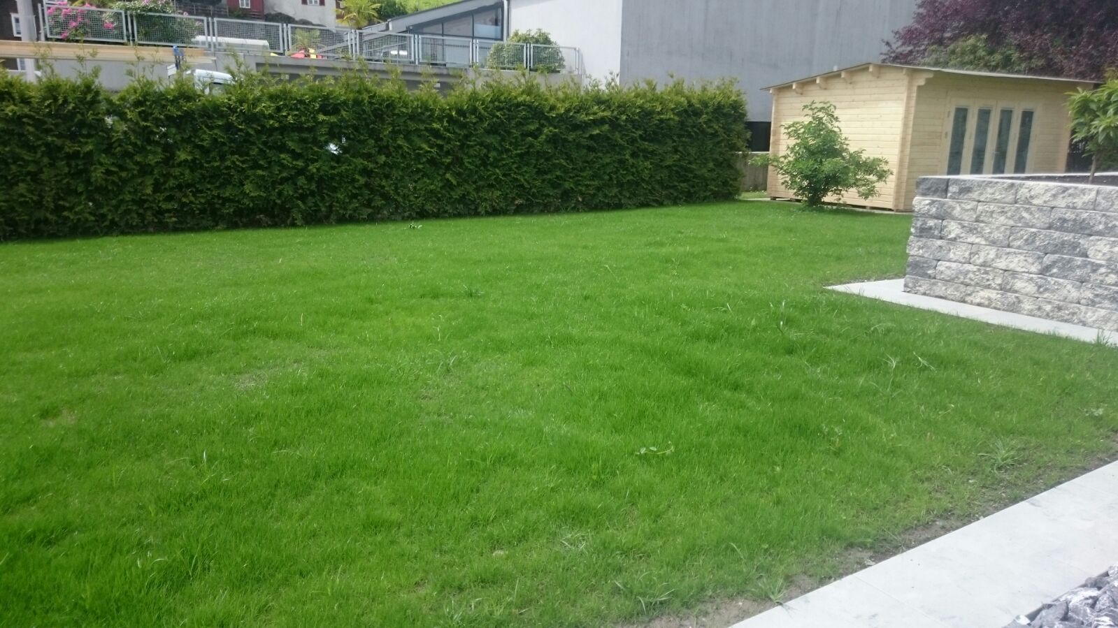 Rasenpflege - Dörig Gartenbau GmbH