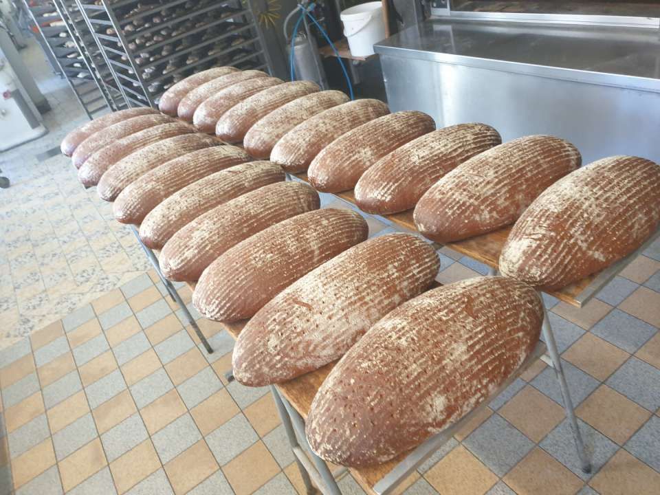 Frisches Graubrot aus dem Ofen