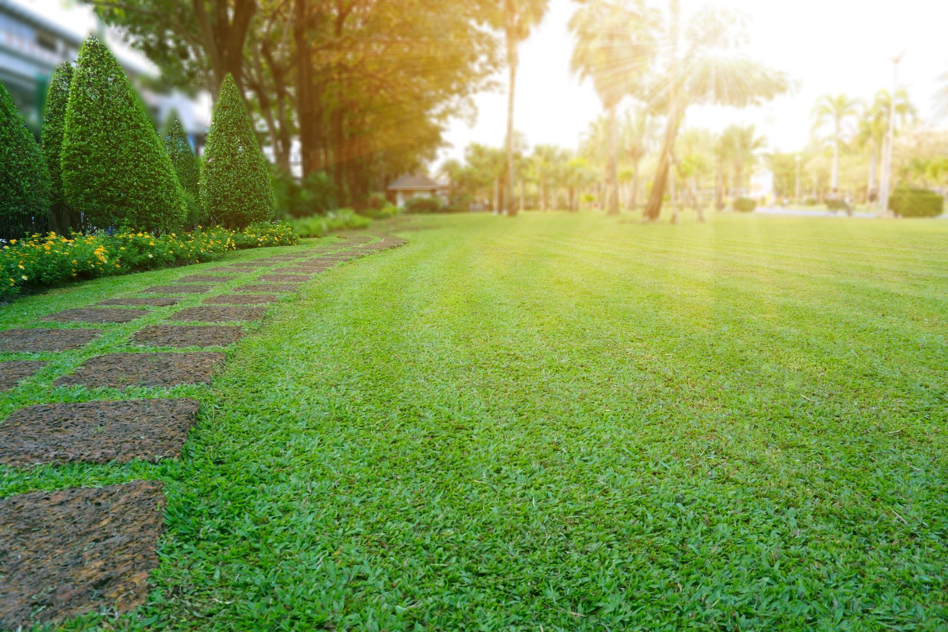 Un jardin avec un chemin de pavé