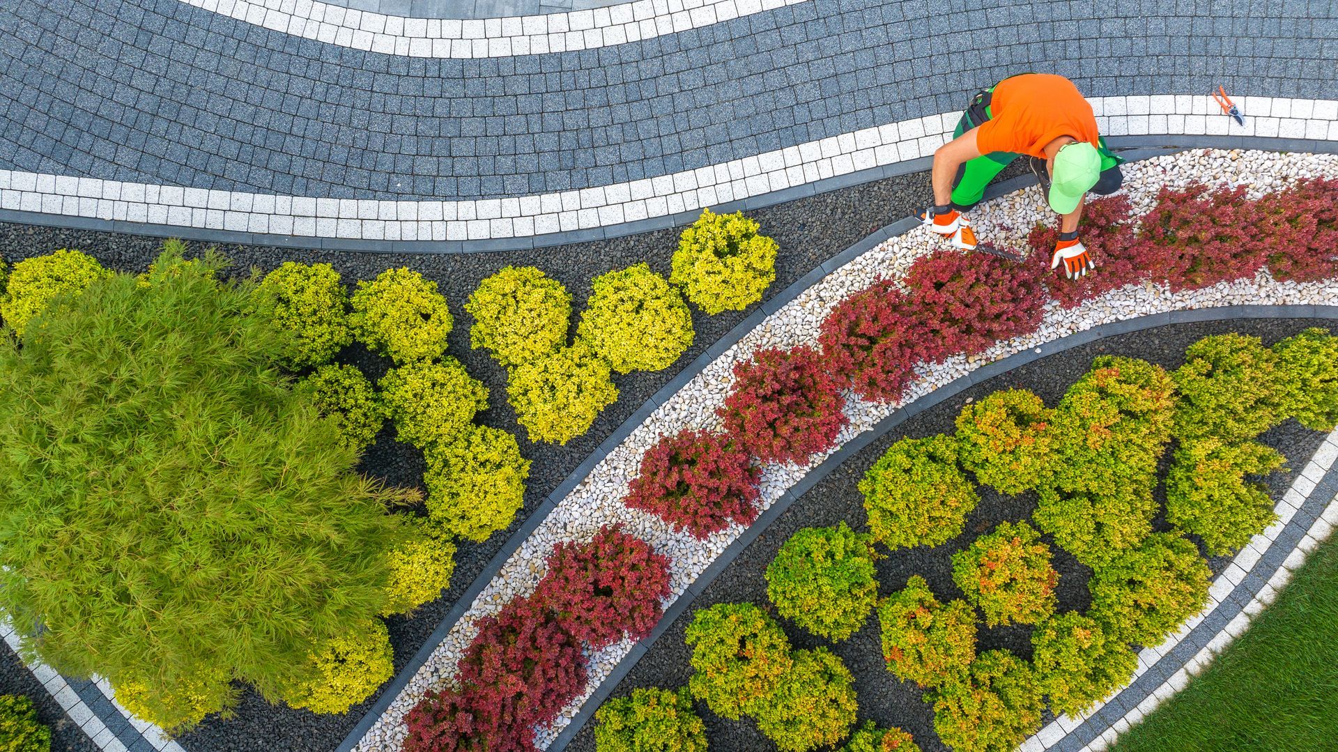 Vue de haut d'un homme qui entretien des plantes rouges