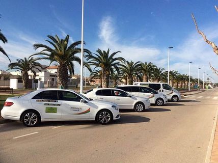 Three white luxury cars parked in a row along a sunny, palm-lined street.