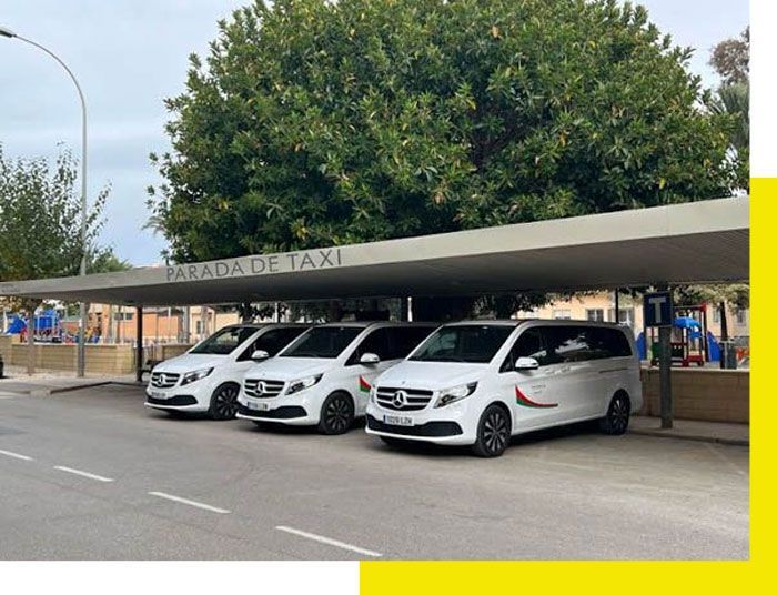 Furgonetas taxi blancas aparcadas bajo una marquesina de parada de taxis en una calle