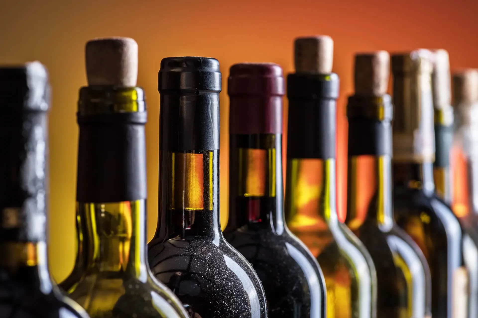 Una fila de botellas de vino están alineadas en una fila.