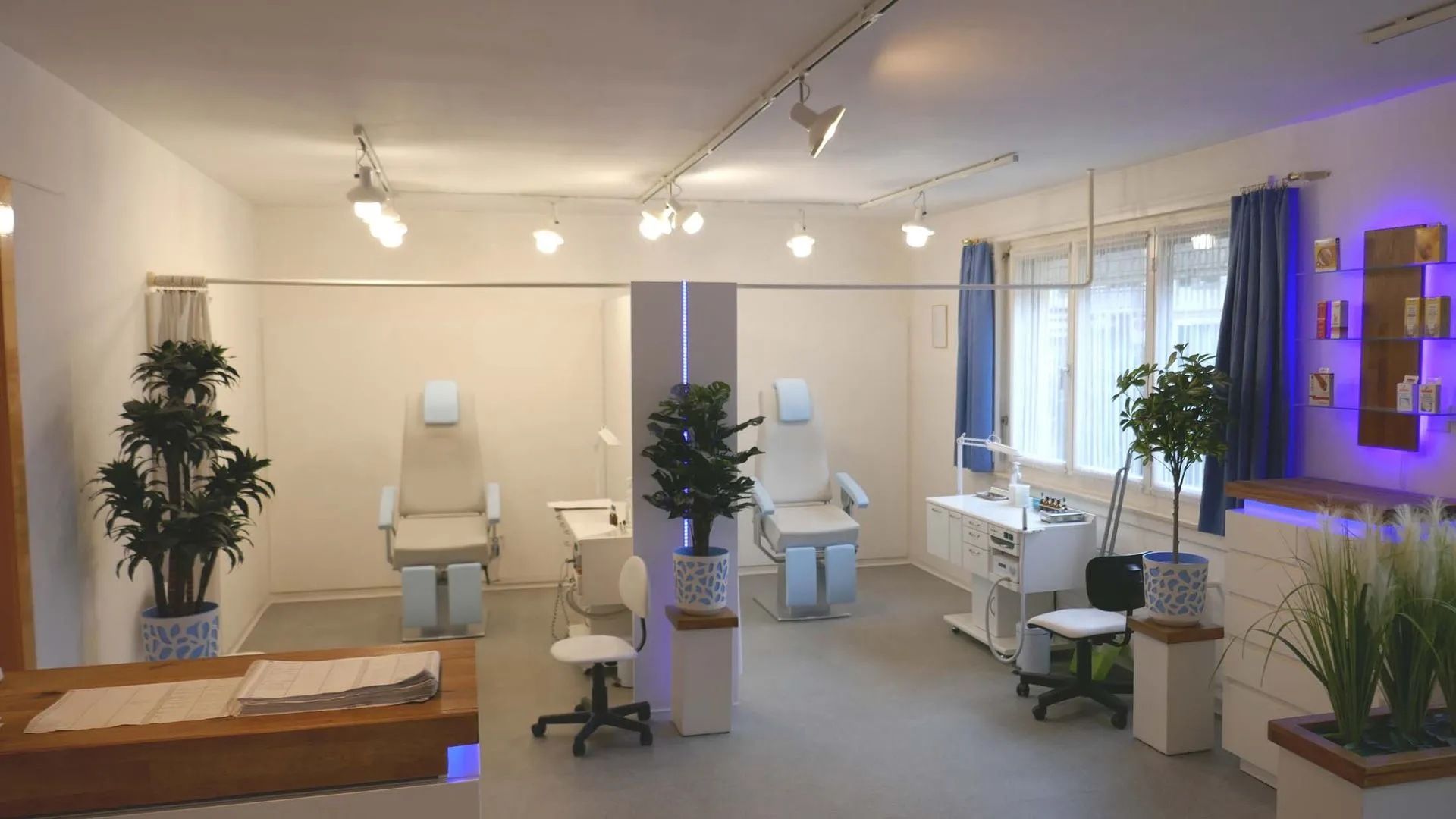 Ein Raum mit vielen Möbeln und Pflanzen.