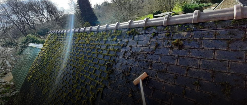 Mur de briques couvert de mousse, baigné de soleil, avec un outil de jardin appuyé contre lui.