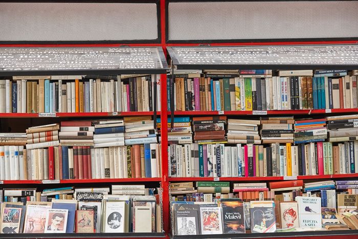 Estanterías repletas de libros de distintos tamaños, colores y portadas en una tienda.