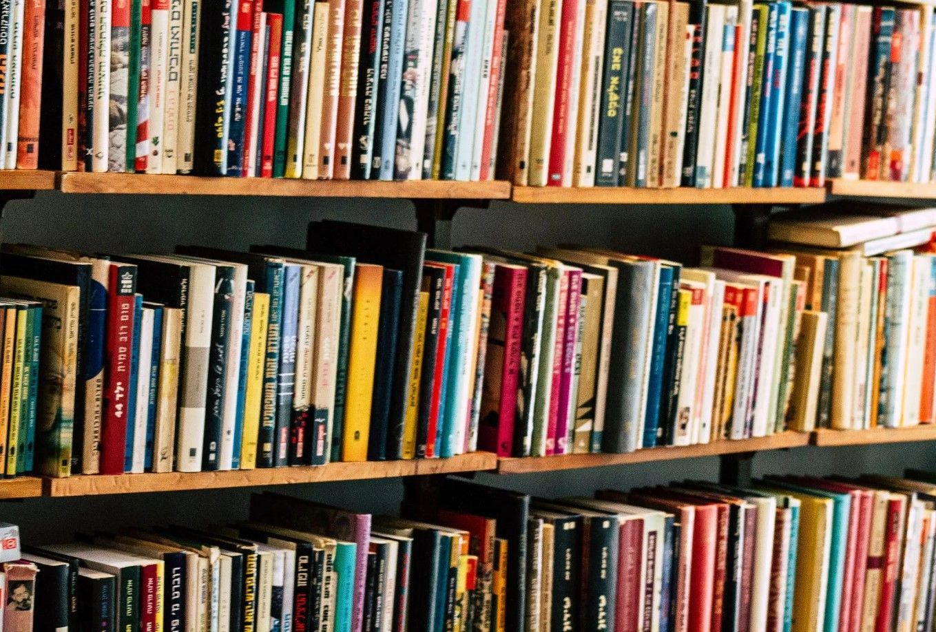 Estanterías llenas de una colorida variedad de libros de varios tamaños y colores, organizados en estantes de madera.