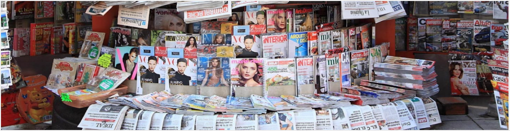Estanterías llenas de una colorida variedad de libros de varios tamaños y colores, organizados en estantes de madera.