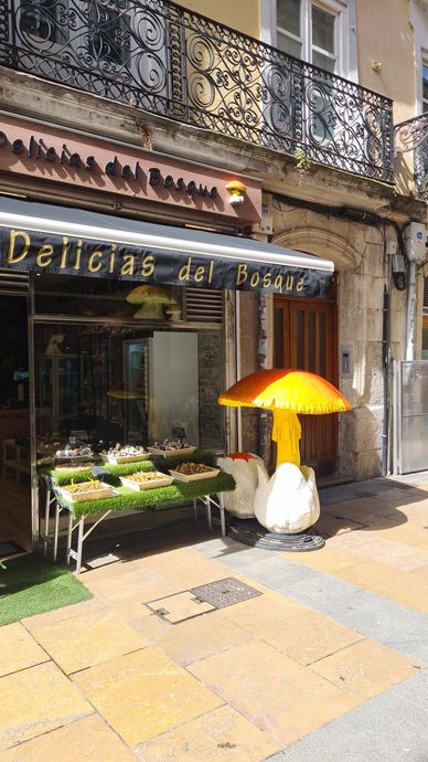 Un escaparate con un paraguas con forma de hongo delante.