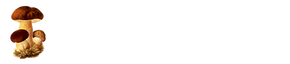 logotipo cabecera