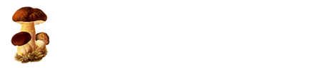logotipo cabecera