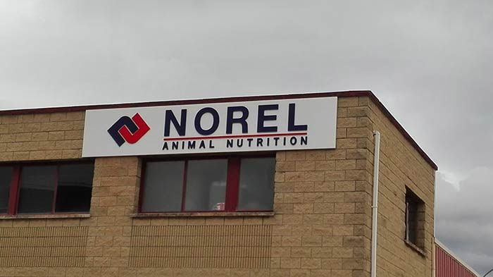 Un cartel en el costado de un edificio que dice nutrición animal norel