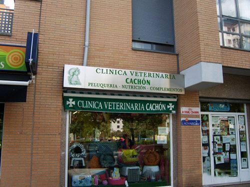 Clinica veterinaria cachon is located in a brick building