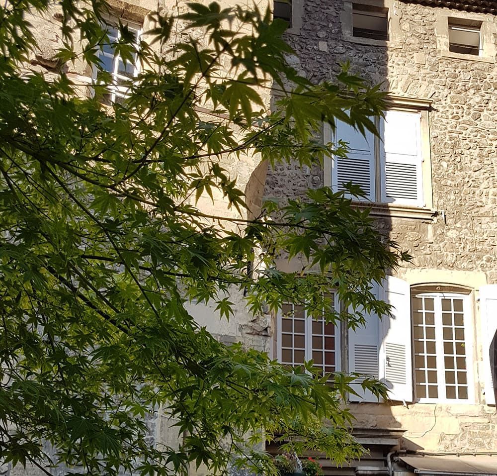 Façade en pierre d'une maison avec des volets blancs derrière des branches d'arbres vertes baignées de soleil