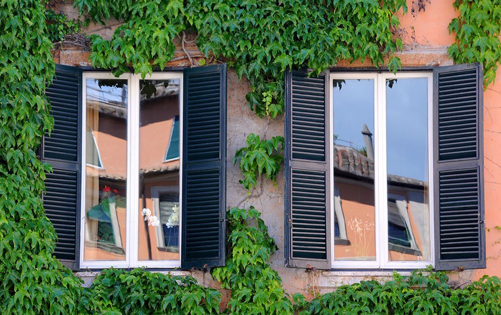 Deux fenêtres à volets sur un mur orange recouvert de vigne, reflétant un bâtiment et le ciel.