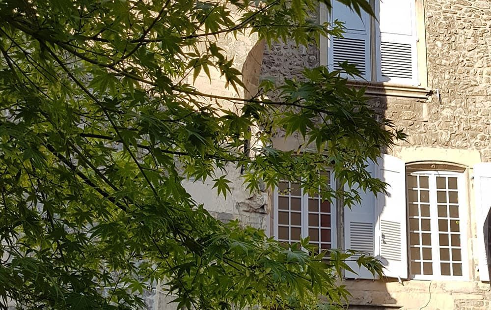 Bâtiment en pierre aux volets et fenêtres blancs, partiellement obscurci par les branches vertes d'un arbre au soleil.