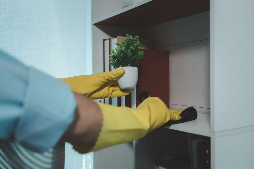 Persona con guantes amarillos colocando una pequeña planta en maceta en un estante blanco.