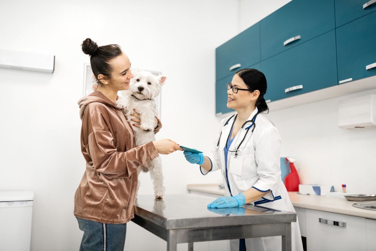 Una mujer sostiene un pequeño perro blanco mientras habla con un veterinario.