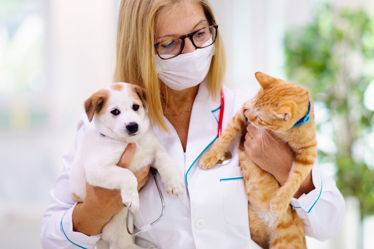 Una veterinaria que lleva una máscara sostiene un cachorro y un gato.