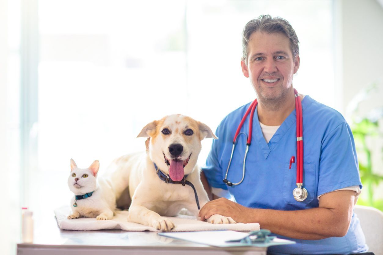 Un veterinario está sentado en una mesa con un perro y un gato.