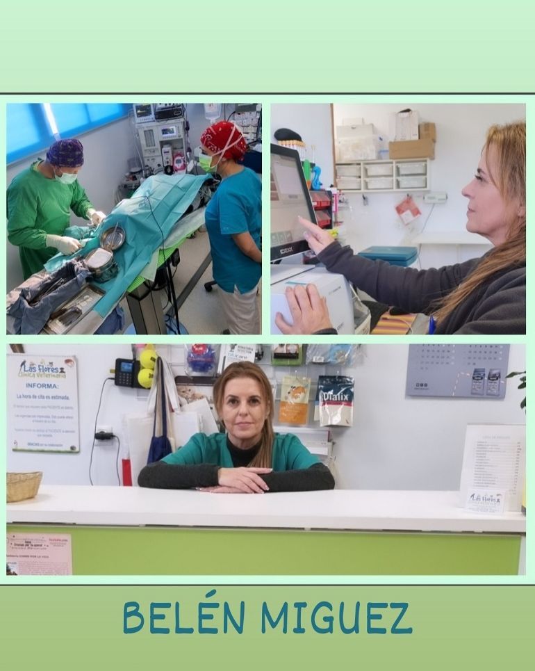 Un collage de fotos de Belén Miguel en un hospital.