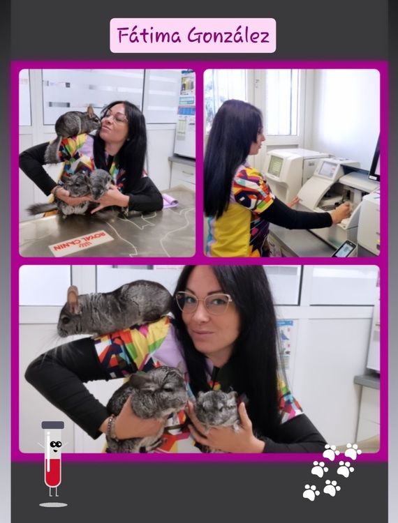 Una mujer sosteniendo un gato con el nombre Fátima González en la parte superior.