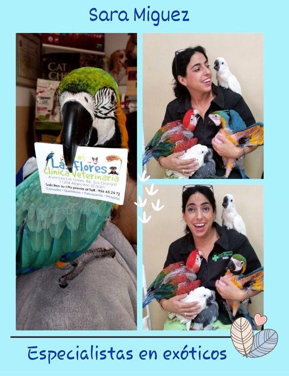 Una mujer sostiene un ramo de pájaros en sus brazos.