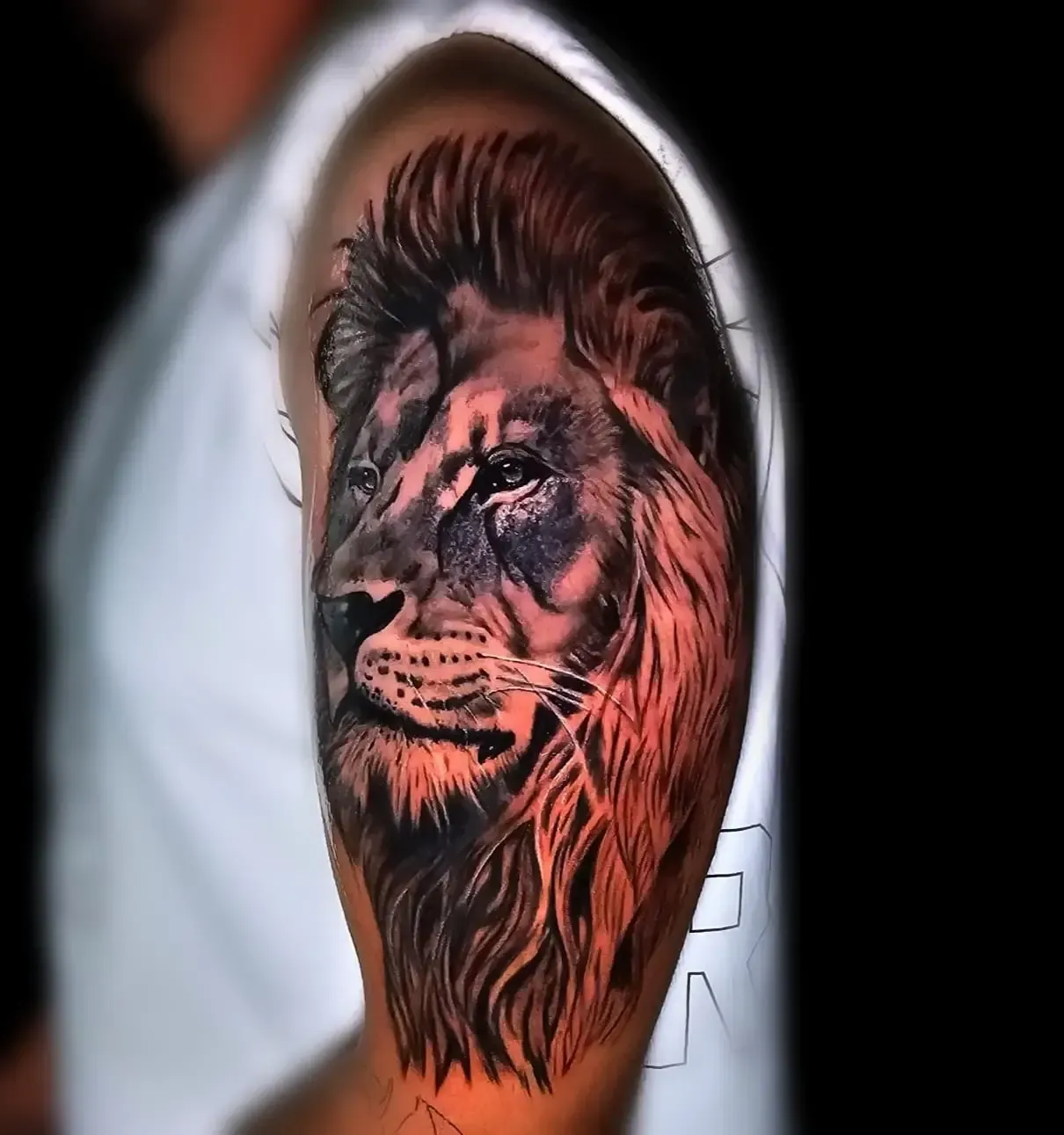Nofraya Tattoo | Badajoz | Tatuajes