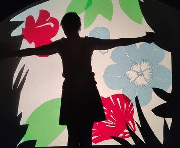 Ombre d'une femme qui écarte les bras