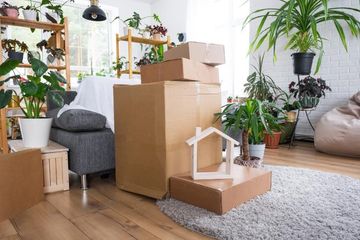 Cajas de mudanza apiladas en una luminosa sala de estar con plantas, una silla y una alfombra.
