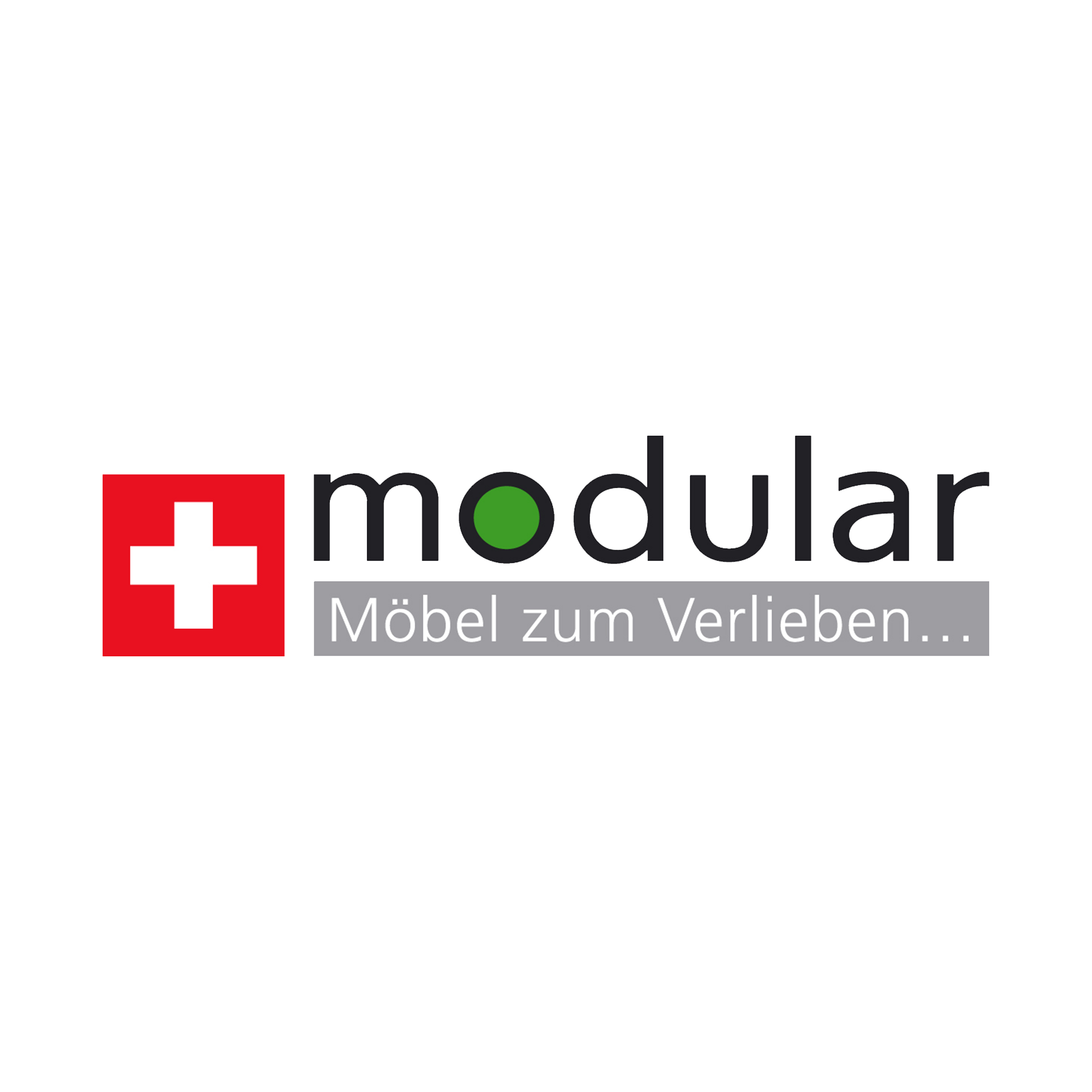 modular Logo