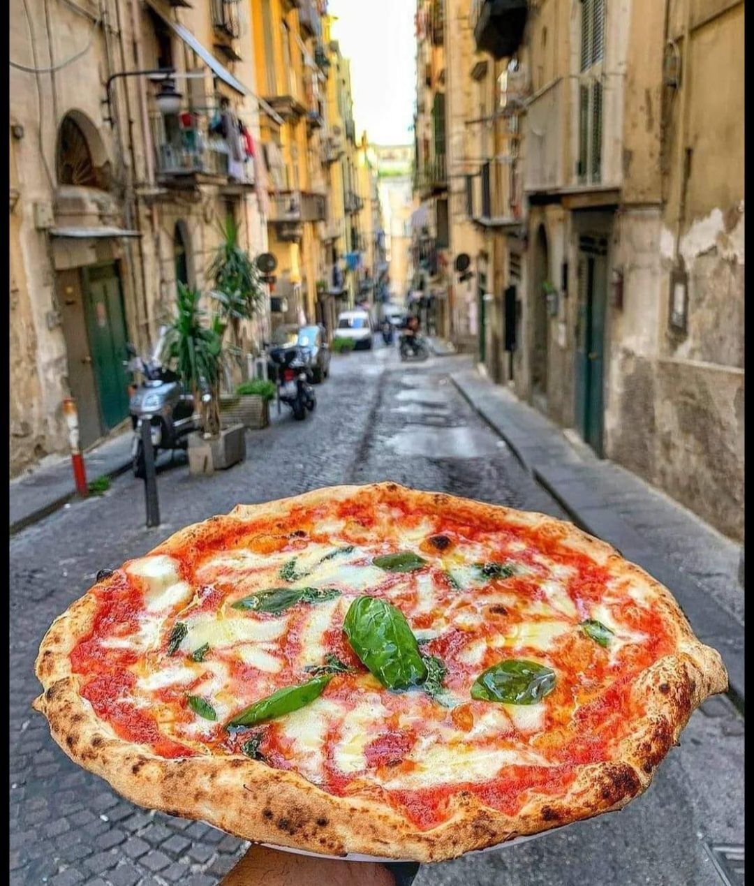 La Rose de L'Ouest à Sion - pizza