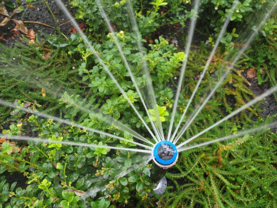 Bewässerungssysteme